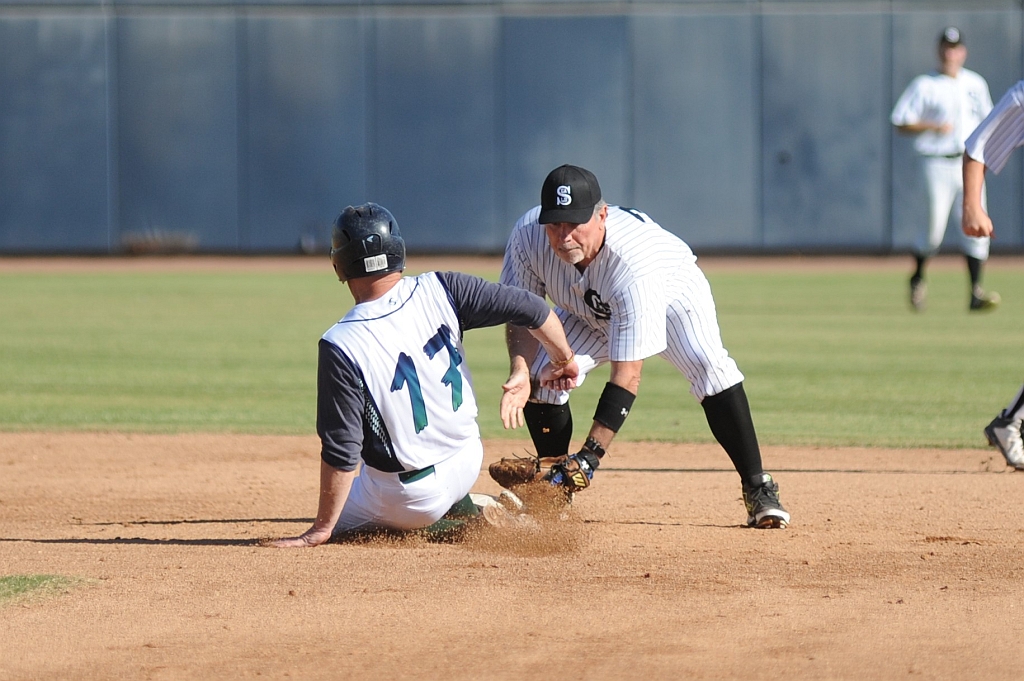 Seals_2017-10-08 (158).jpg - (c)2010 DeVetter